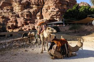 Petra